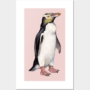 Yellow-eyed Penguin Posters and Art